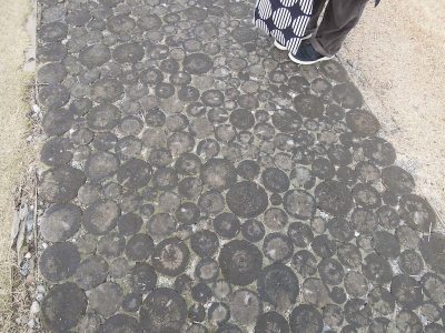 黒部 きららの滝