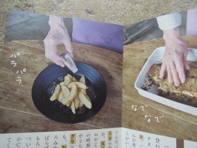 七尾 鳥居醤油店 もろみ塩