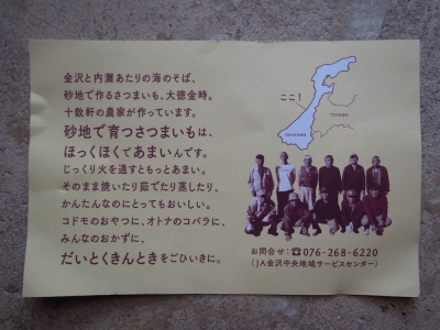 大徳金時 JA 田中聡美