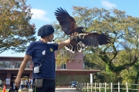 春ららら市2019 動物園