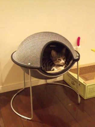 hepper pod