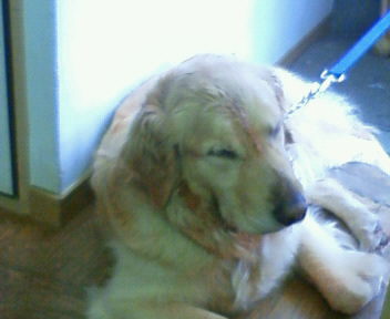 201006141257000.jpg