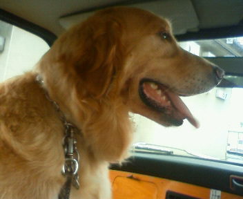 201007061021003.jpg