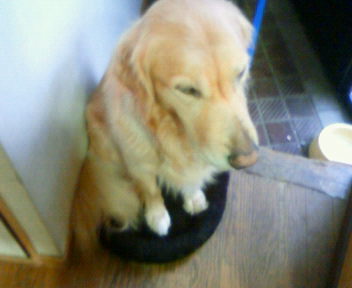 201010091421000.jpg
