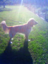201011041419000.jpg