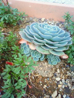 201011251235001.jpg