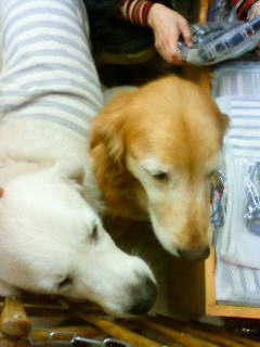 201012232000001.jpg