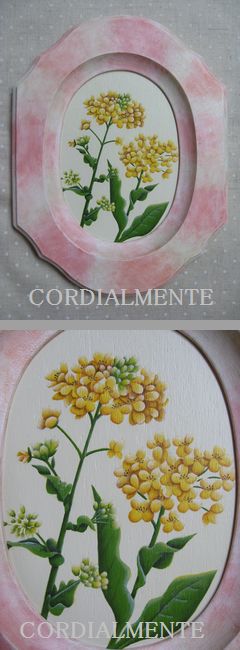 菜の花