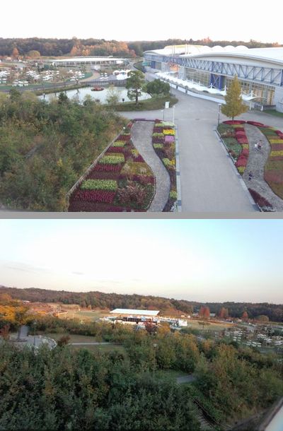 2015.11.9-3.jpg