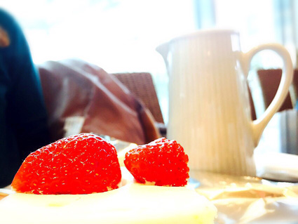ichigo web