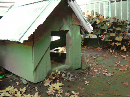 犬小屋