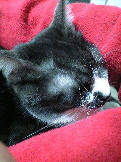 080409_2009~0001.jpg