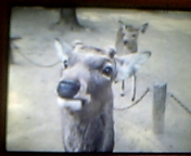 20070211_61841.jpg