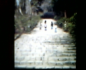 20070211_61852.jpg