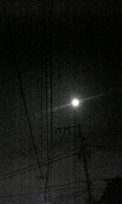 081017_215917.jpg