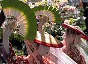 桜まつり
