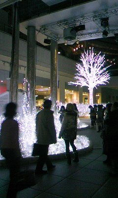 081212_1858~01.jpg