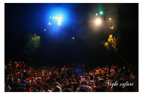 nightsafari