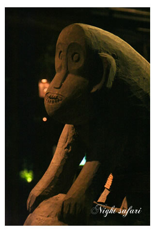 nightsafari