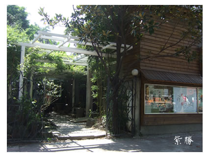 紫藤(台湾)