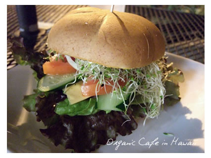Organic cafe