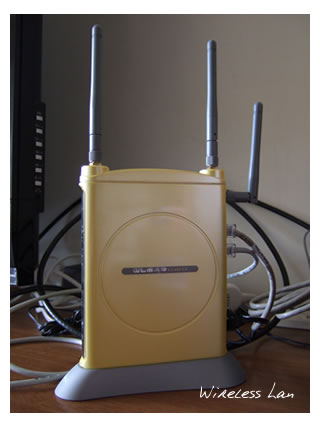 wireless lan
