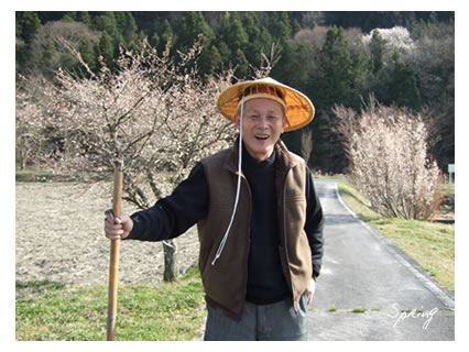 spring