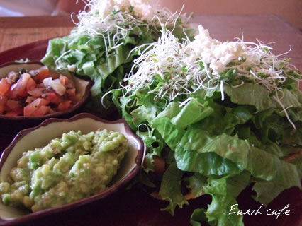 EarthCafe