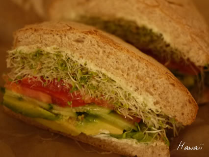 Peacecafe06.jpg