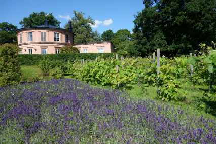 Sweden2015 (74).jpg