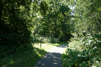 Sweden2015 (121).jpg
