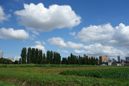 small-012.jpg