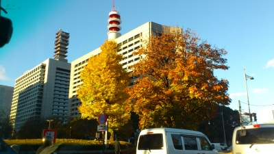 紅葉と警視庁