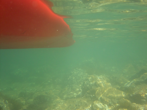 100_1155.JPG