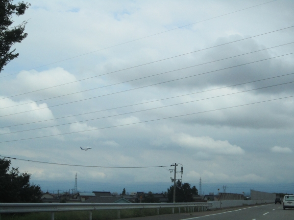 IMG_3525.JPG