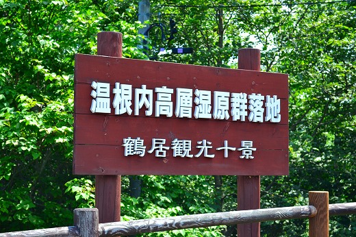 DSC_9367.jpg
