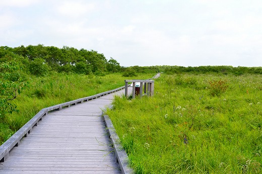DSC_9380.jpg