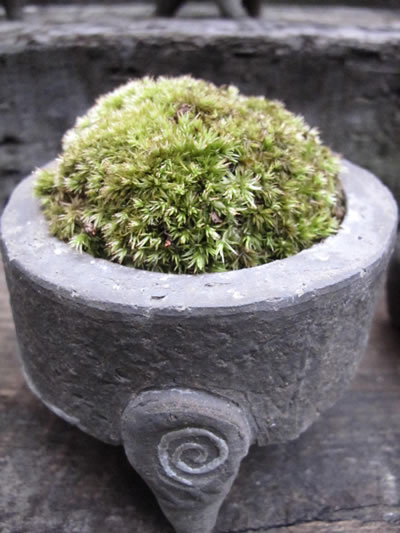 拡大図