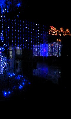 101202_2146~01.jpg
