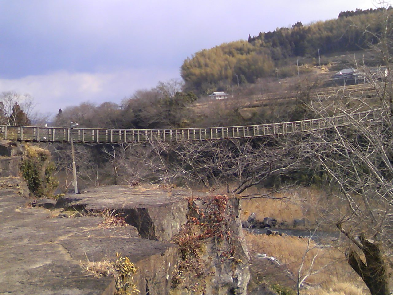 TS3I0129.jpg