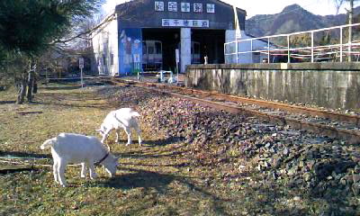 110201_1502~010001.jpg
