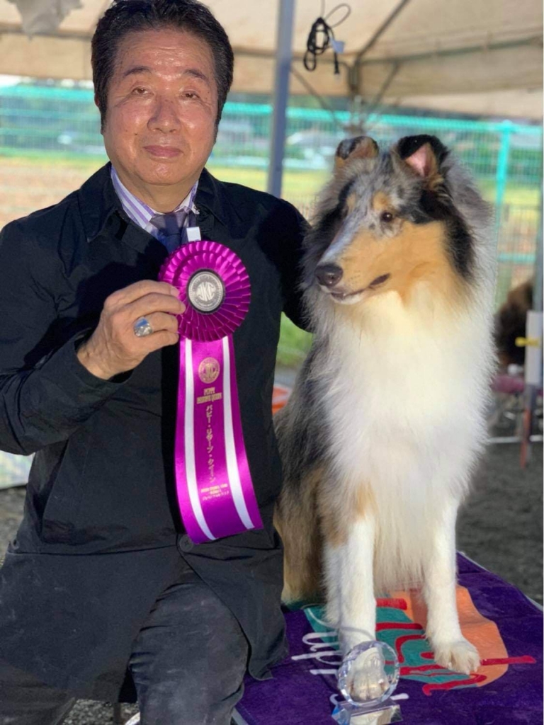 JKC嘉穂愛犬クラブ展 マレーネ パピーリザーブクイーン獲得