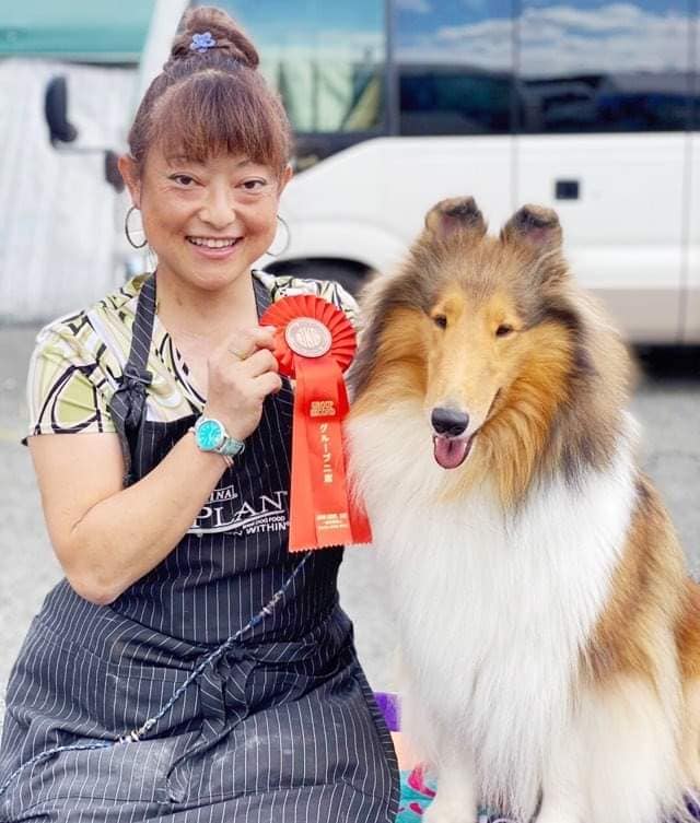 コリー クレア JKC沖縄南部エトワール愛犬クラブ展 G2獲得