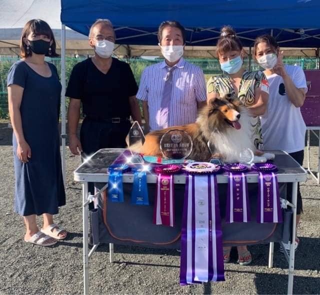 JKC沖縄南部エトワール愛犬クラブ展 リザーブキング獲得 G2獲得