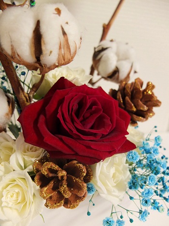 2012-12-6-t2