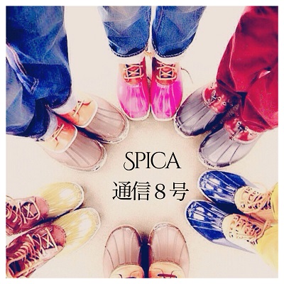 Spica通信8号400