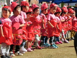 ふれあい運動会特集 さくらブログ