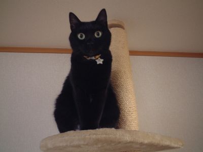 むなげプロフィール