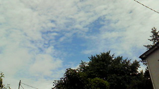 201006300935000.jpg