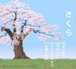 さくら
